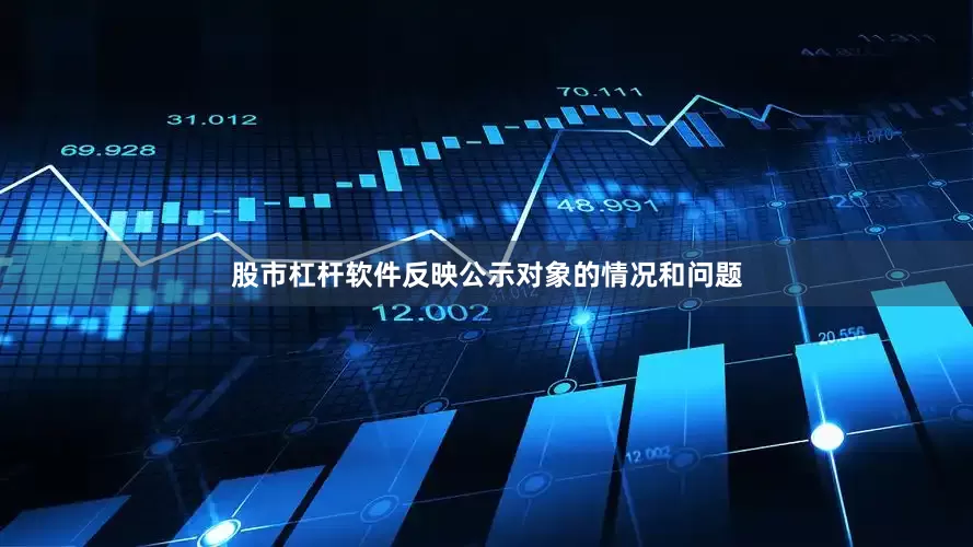 股市杠杆软件反映公示对象的情况和问题