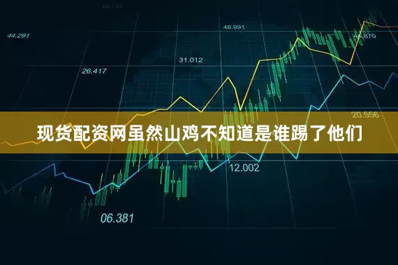 现货配资网虽然山鸡不知道是谁踢了他们